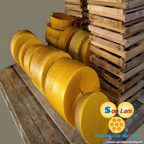 sap-ong-nguyen-chat