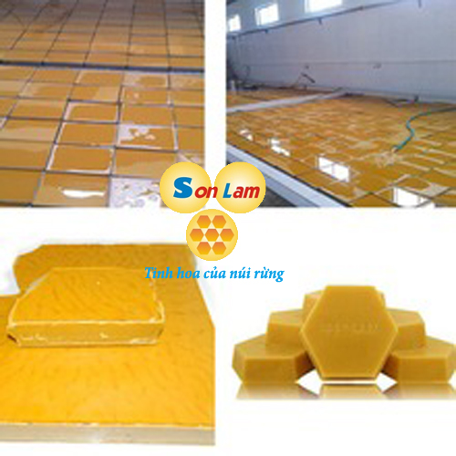 sap-ong-rung-nguyen-chat